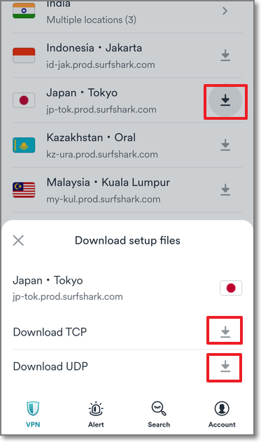 選擇你想連接的國家，點擊下載TCP 跟 UDP的檔案。